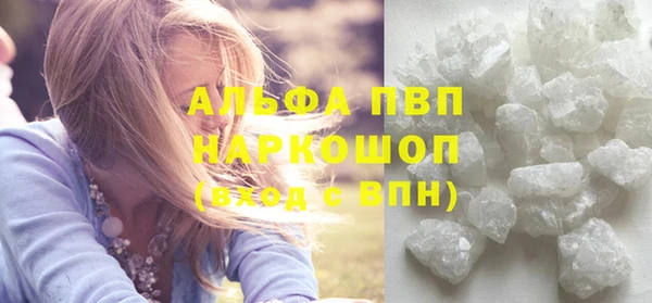СК Алексин