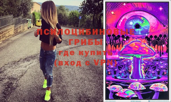 СК Алексин