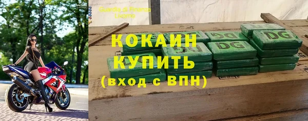 СК Алексин