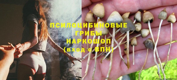 СК Алексин