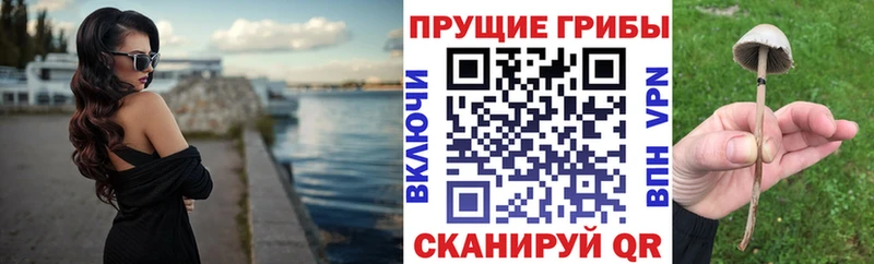 Галлюциногенные грибы Magic Shrooms  наркотики  Новошахтинск 